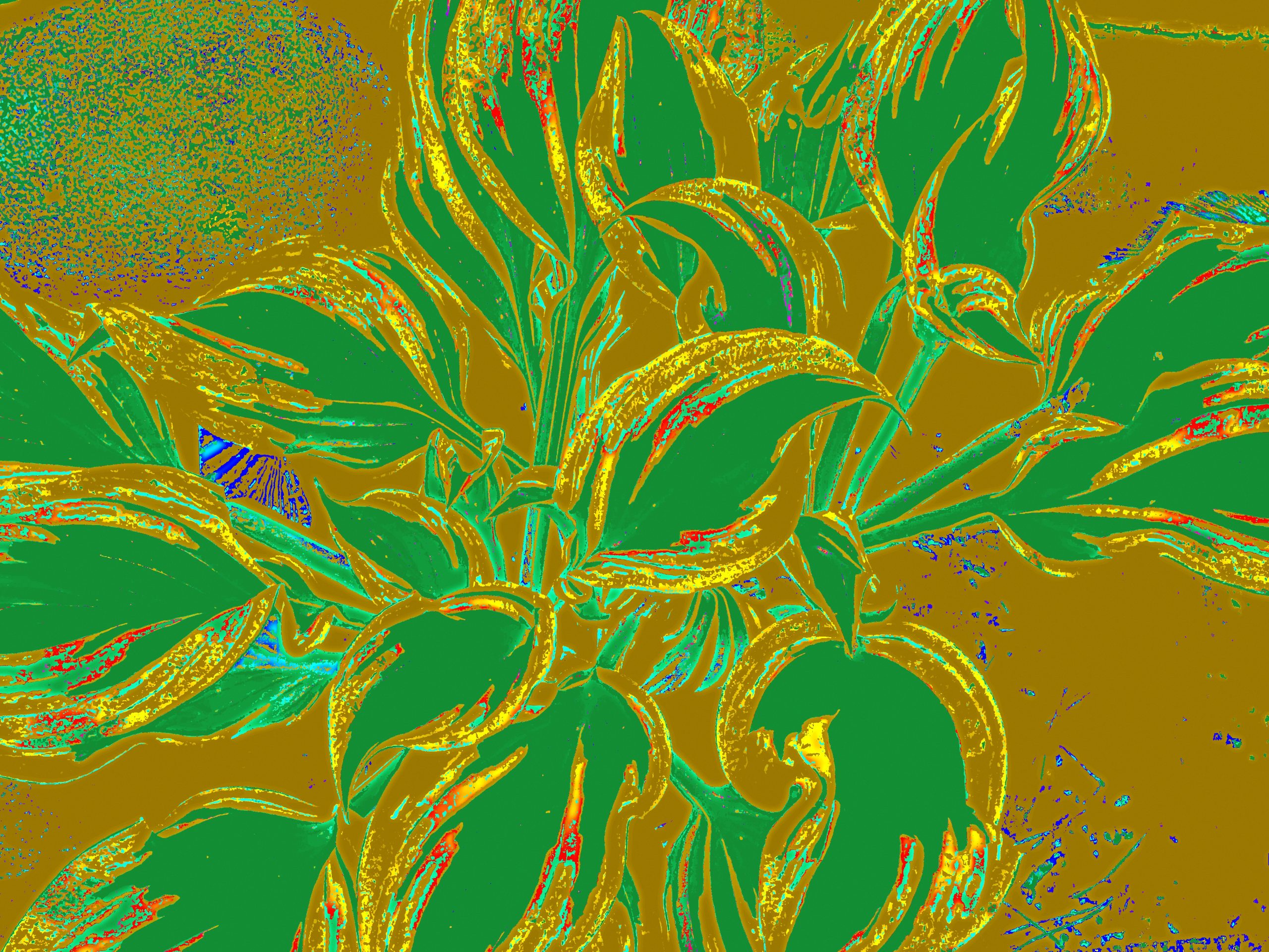 St Louis Media covers Inna Rogatchi’s van Gogh & Jews art history research project