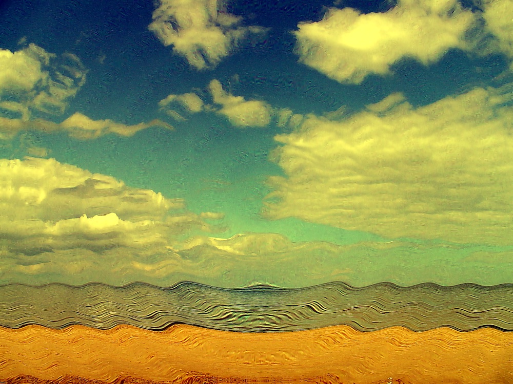 VINCENT: INSIGHTS & VISIONS